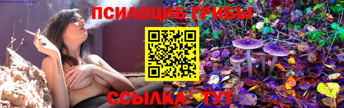 Псилоцибиновые грибы Psilocybe  Галлюциногенные грибы Psilocybe  Вход с VPN  Керчь 
